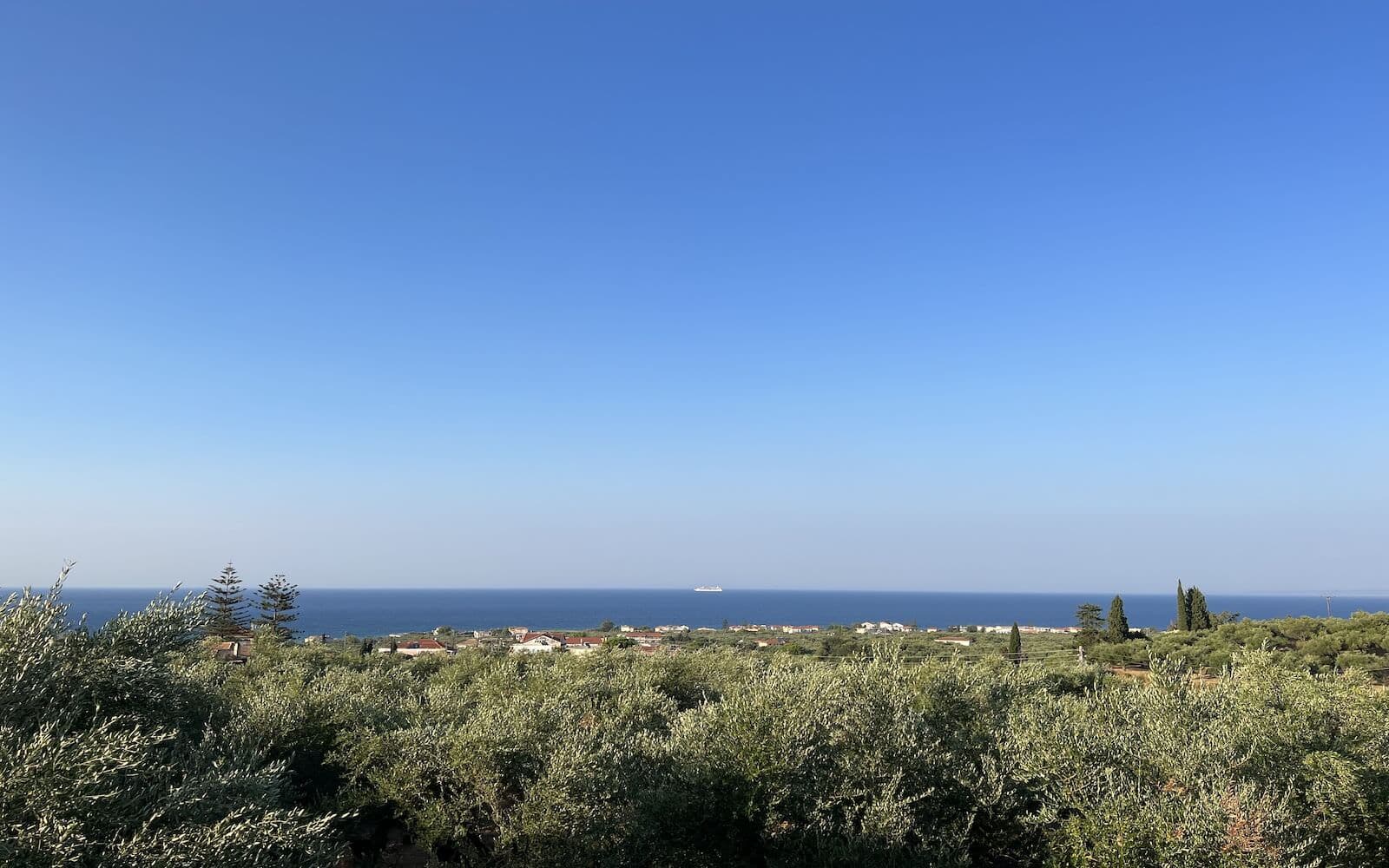 Villa Zoi exterior among olive trees
